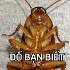 Hệ thống ngầu lòi👁️🫦👁️