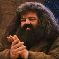Rubeus Hagrid 