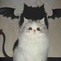 [ hệ thống 12-A ] Dương Vọng 