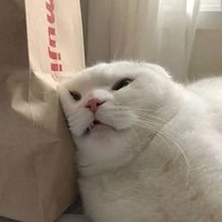 Hệ Thống 001 ( mồm lèo)