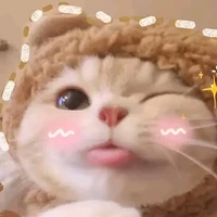 hệ thống
