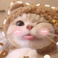 hệ thống