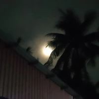 Nữ chánh viên:))