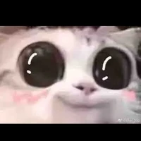 mọi người (-một số người)