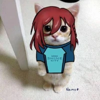 Kyy đây chao xìnn