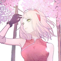 sakura