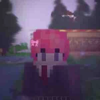 TT_hiha