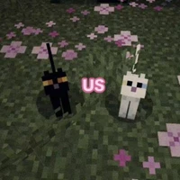 ？？？