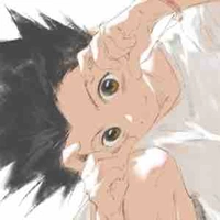 Gon Freecss