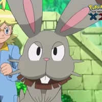 Horubi_Hệ thường