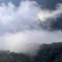 Tác giả sương khó