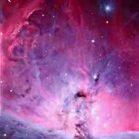 Tác giả nhưng nhập thân trong truyện