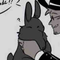 Spade🐰🐇