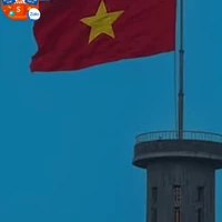 cả đám (trừ ai tự biết)