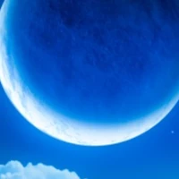 nhóm bot và vài người nữa