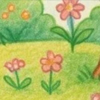 cả bốn, cả sáu