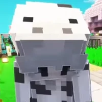 _Don_