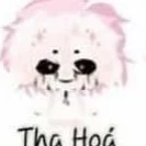 hiha tha hóa