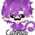 hiha capnat