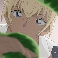 seiya.