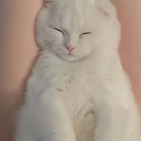 @𝘊𝘩𝘒𝘦𝘵 ♑︎