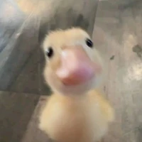 @𝘋𝘨𝘒𝘪𝘮.𝘛𝘢𝘶 ♉︎