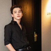 Phạm ĐÌnh Thái Ngân
(A)