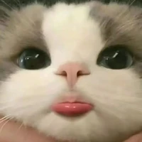 t/g