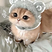 hệ thống
