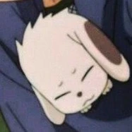 akamaru