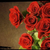 all( trừ tùy trường hợp)