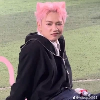 Nguyễn Thái Sơn( mồng hèo,son)