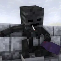 Wither-hắn⚔️
