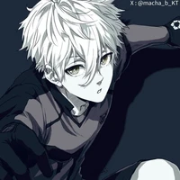 Nagi Seishirou