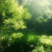 -Nhân Vật Nữ Phụ-