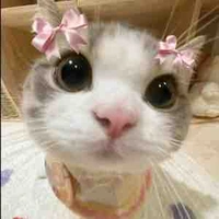Đa nv 1 