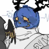 dusekkar 