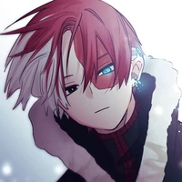 Todoroki Shoto
