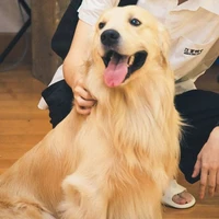 bánh xốp