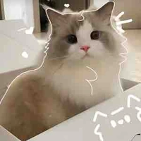 Nhỏ t/g bị flop