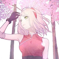 sakura