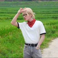 Trịnh Trần Phương Tuấn(meo)