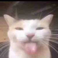 Herobrine(biệt danh bff đặt)