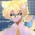 Hiha anti catnap ( aut allanticatnap )