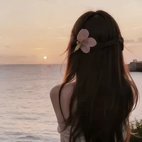 Bùi Minh Anh_mẹ em, Tú