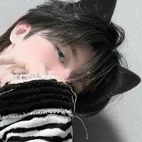 toàn_mèomeca@