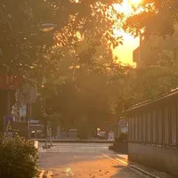 CLB_ĐỘNG_VẬT@