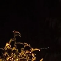 nhân vật chưa tiết lộ