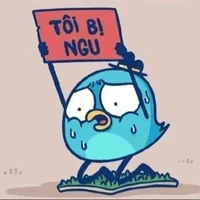 Sứa