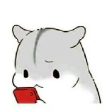 chuột hamster
